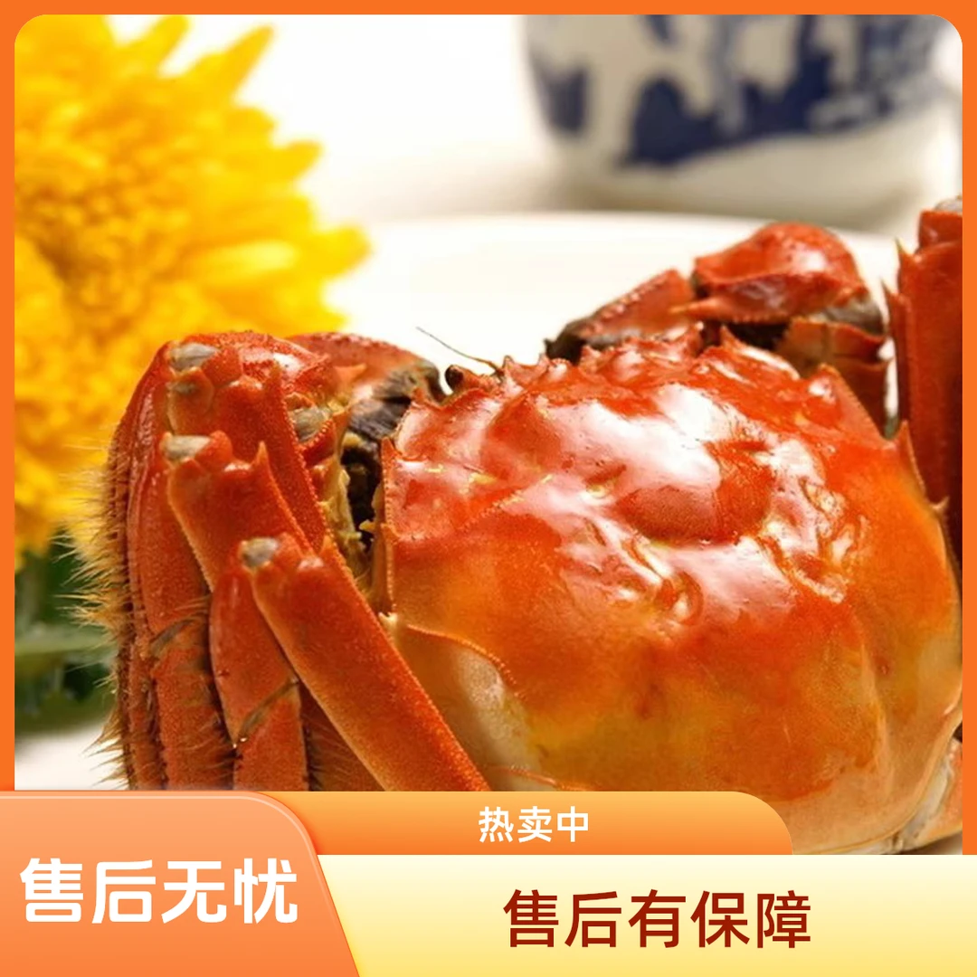 【活蟹】江苏大闸蟹 全公蟹 5.5-5.2两 8只送2只 礼盒装 京东顺丰冷链