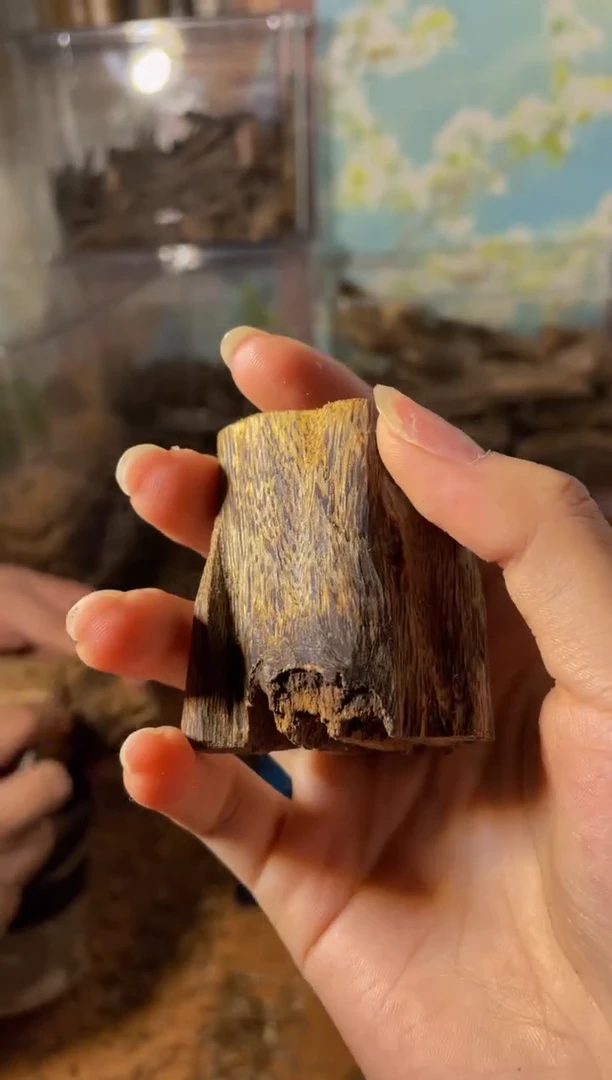 沉香沉香碎屑陆河34克8