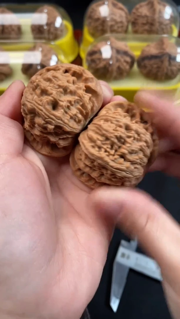 把件文玩核桃白狮子45尺Q296