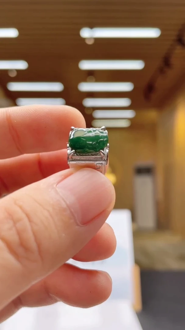 翡翠未镶嵌颈饰********9