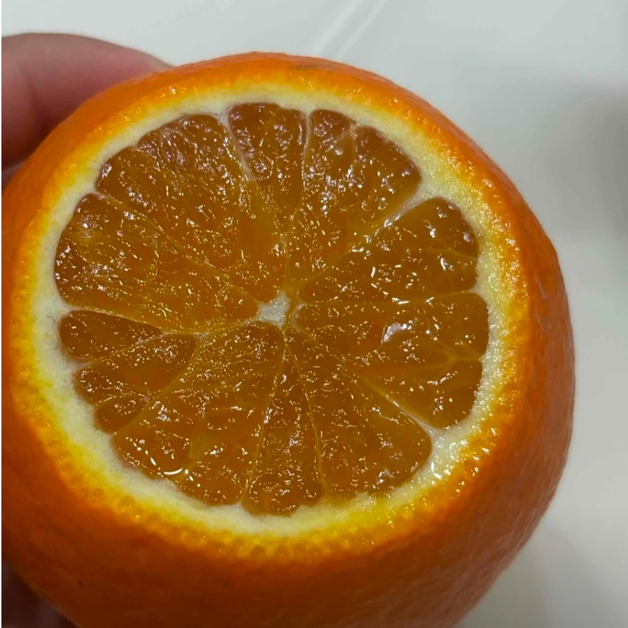 【爱媛福利款】四川爱媛果冻橙 肉厚多汁 新鲜应季水果 坏果包赔