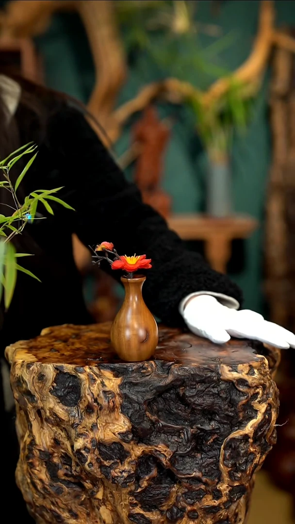 木雷击枣木花露