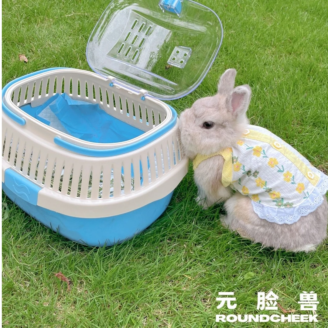 宠物兔兔豚鼠龙猫蜜袋鼬托特外出便携手提车载露营单肩宠物包