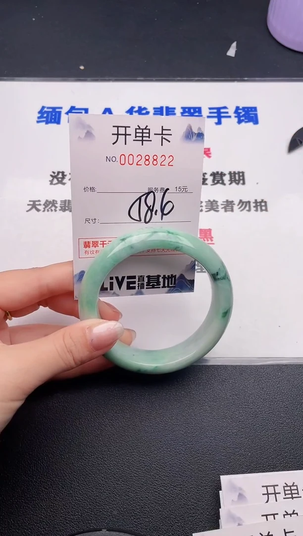 未镶嵌手镯翡翠22