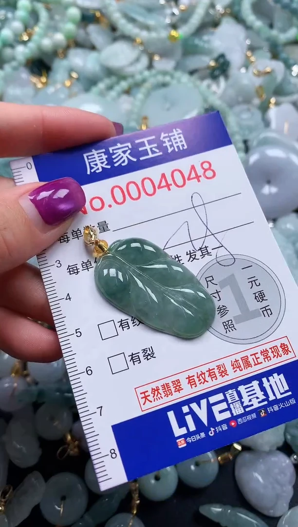 颈饰未镶嵌翡翠4048