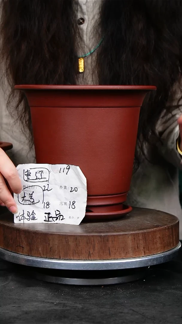 紫砂花盆花卉园艺^119+z