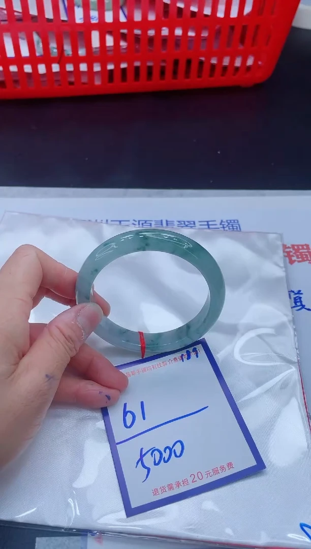 未镶嵌手镯翡翠11111111