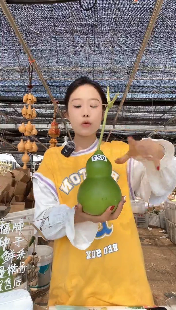 021天然葫芦摆件 一物一拍龙头不保售后微瑕疵