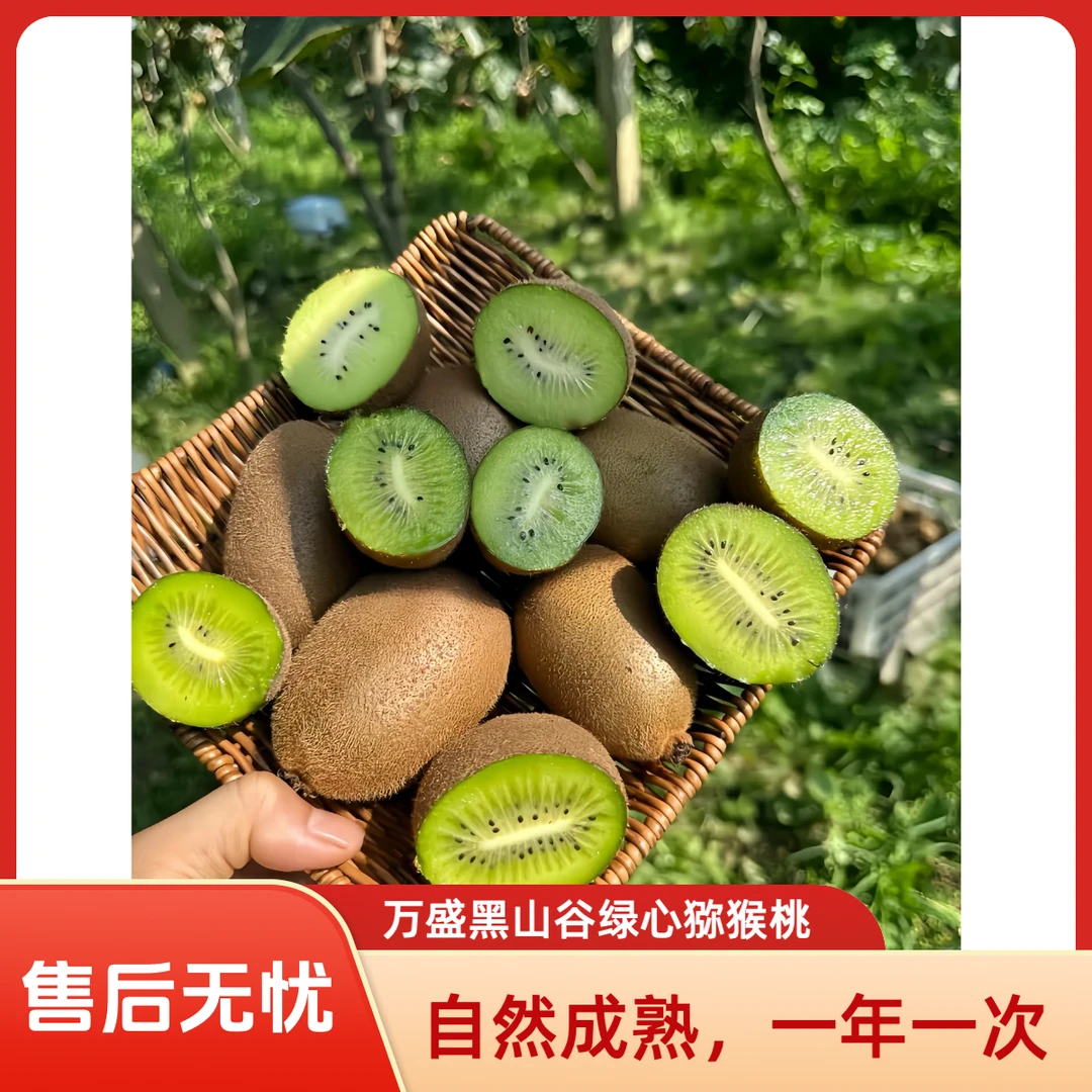 重庆万盛黑山谷绿心猕猴桃川猕一号新鲜应季时令水果产地直发