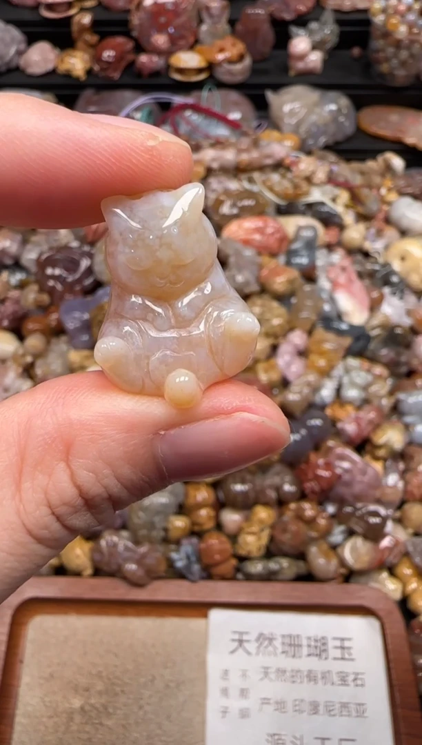 硅化珊瑚（珊瑚玉）未镶嵌颈饰381