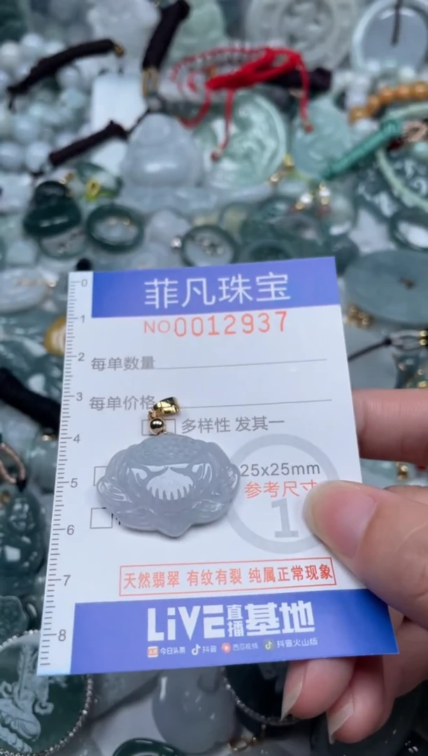 颈饰未镶嵌翡翠12937