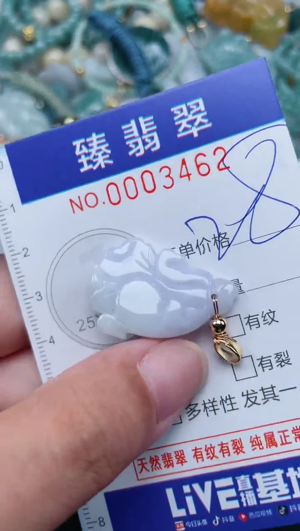 翡翠未镶嵌颈饰.0003462