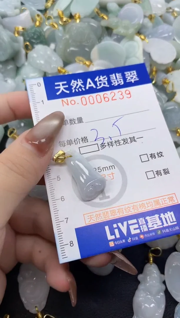 翡翠未镶嵌颈饰天然A货翡翠