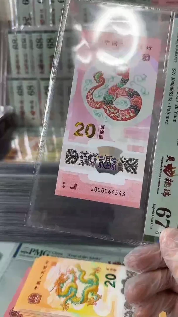 塑料000066543蛇钞单张