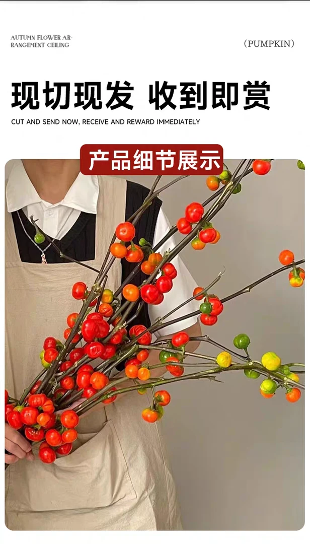 鲜花网红小南瓜云南鲜花云南鲜花花好养氛围插瓶趣味diy