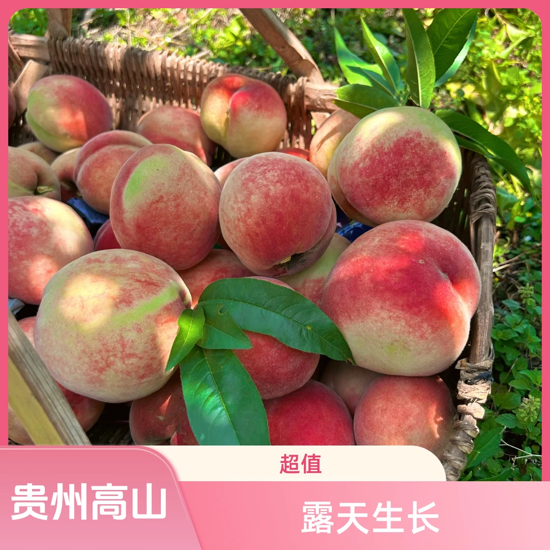 贵州艳红桃新鲜现摘新鲜脆桃水蜜桃毛桃正宗水果当季整箱批发脆甜