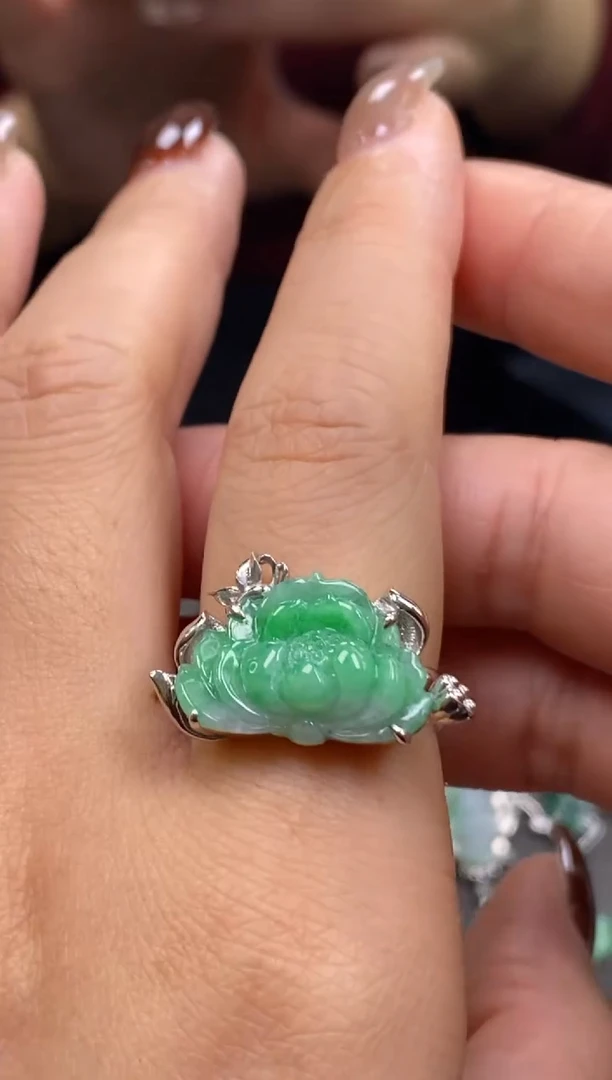 颈饰银S925镶嵌翡翠净货13872