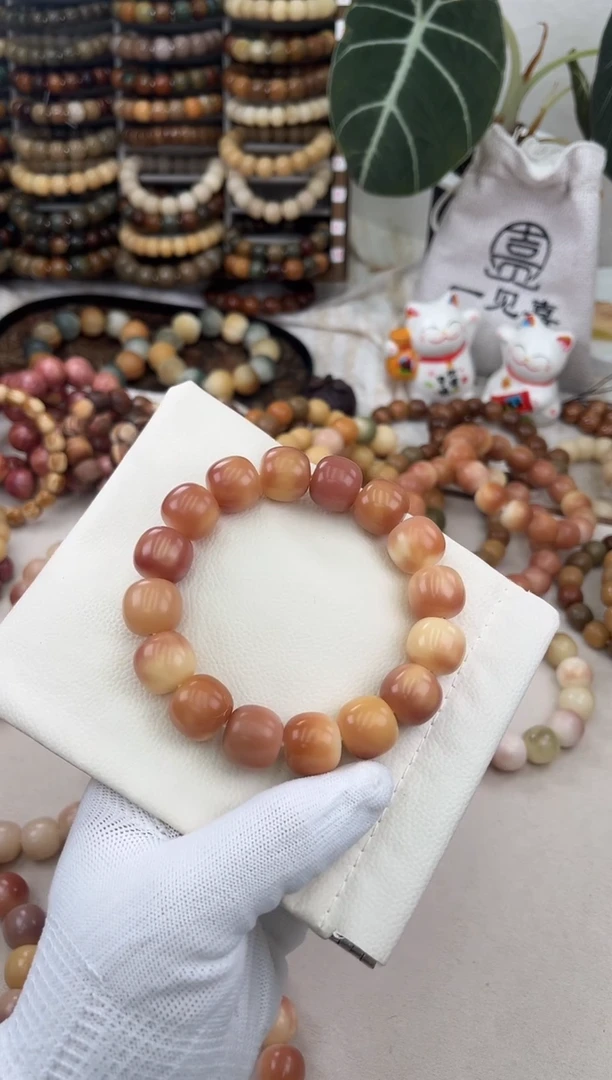 菩提根/象牙果手串a659卡17 干磨