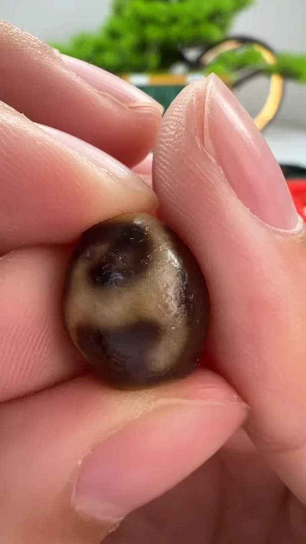 玛瑙/玉髓（覆膜）颈饰未镶嵌20.（微瑕随机发货）