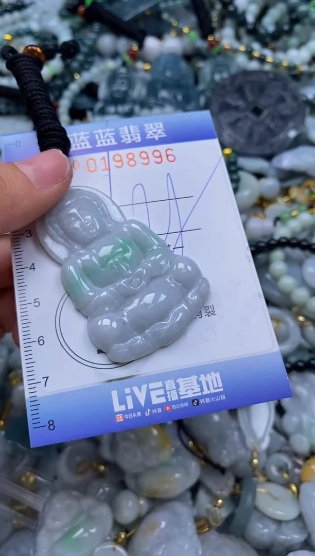 翡翠未镶嵌颈饰闪购0198996