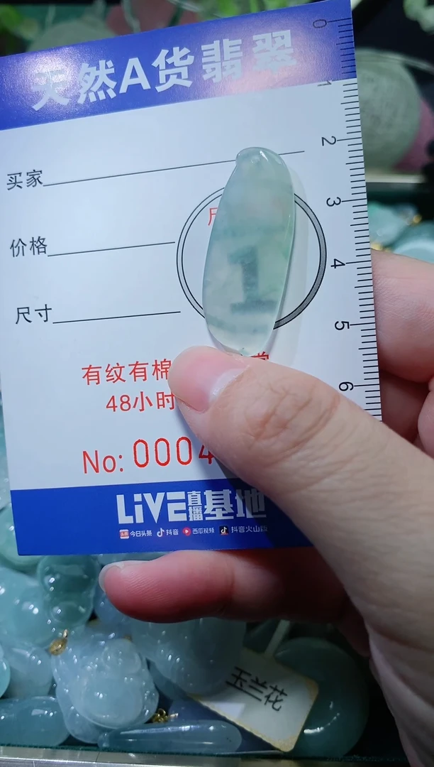 【闪购商品】翡翠颈饰未镶嵌天然A货翡翠一件