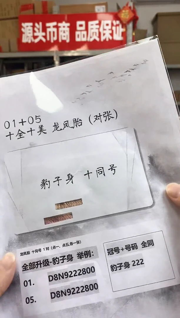 【十全十同】龙凤胎豹子身对张