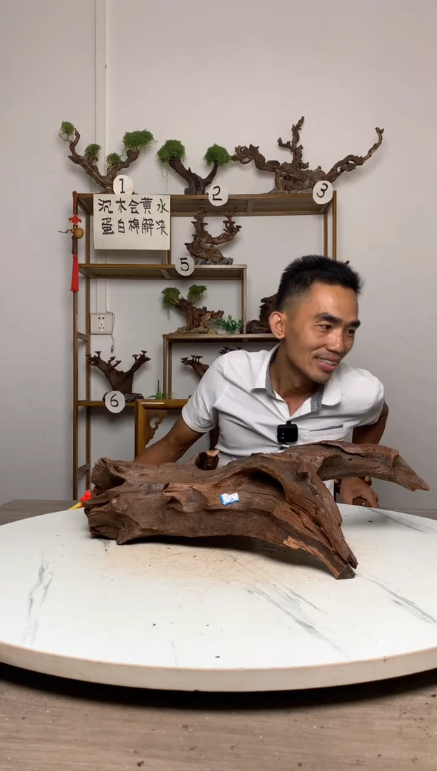 美****铺鱼缸造景沉木摆件