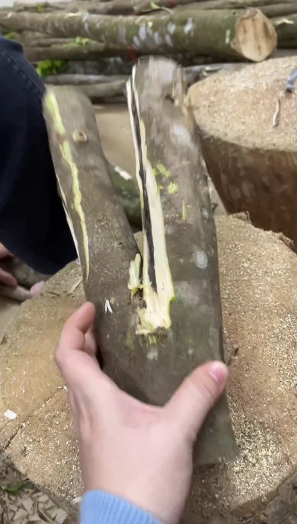 沉香沉香碎屑棋楠沉香 原料文创1