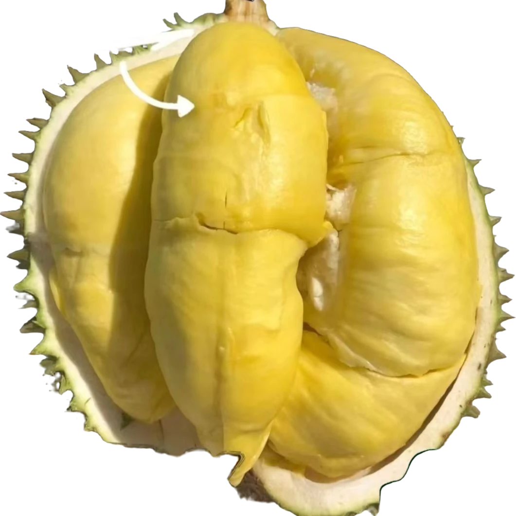 【一小时到家】新鲜泰国金枕榴莲纯肉0.5-3斤装核小榴莲同城配金枕泰国