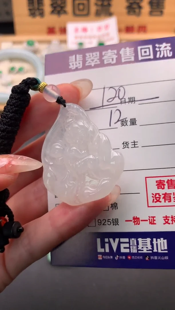 翡翠未镶嵌颈饰10134609