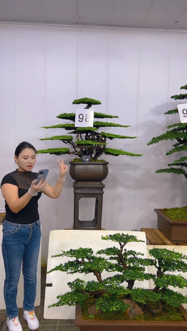 无花朵一物一拍一物一拍