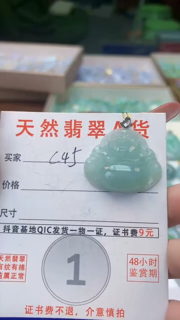 颈饰未镶嵌翡翠天然A货翡翠挂件