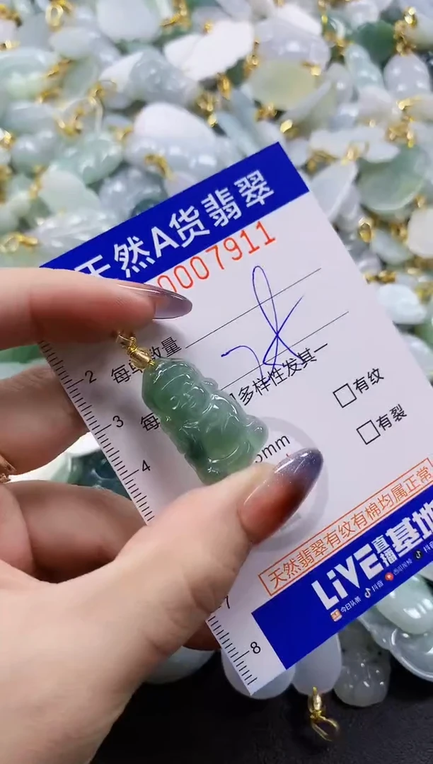 颈饰未镶嵌翡翠天然A货翡翠