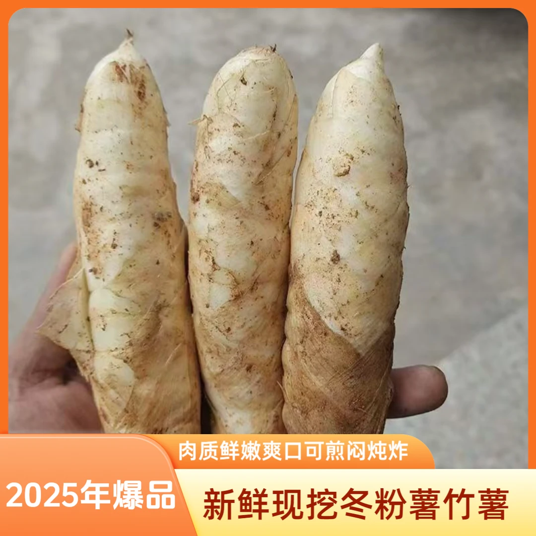 2025现挖广东茂名新鲜竹薯冬粉薯煲汤煎煮优质火锅食材