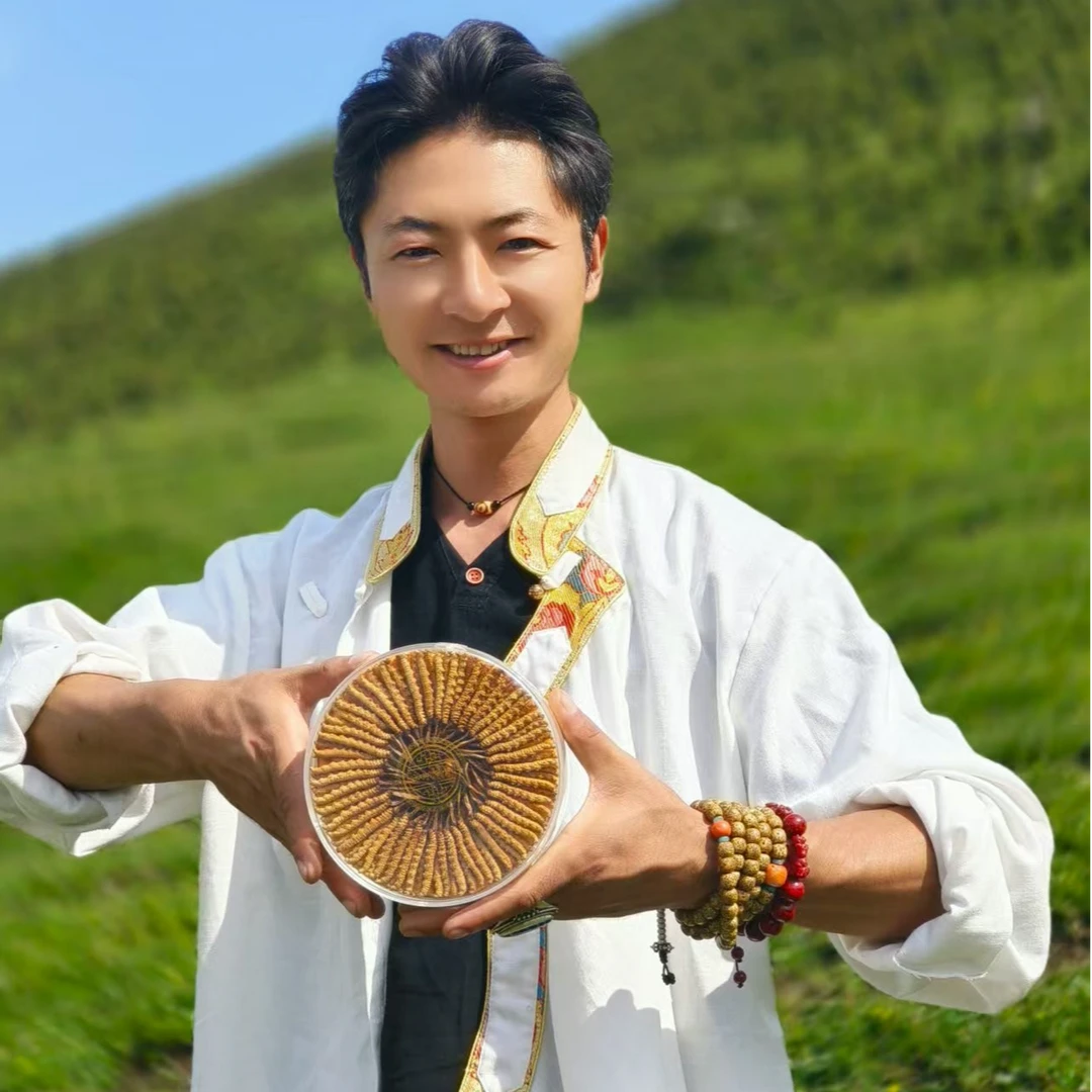 干草6根一克牦牛哥严选高海拔干货冬虫夏草雪山精华干货