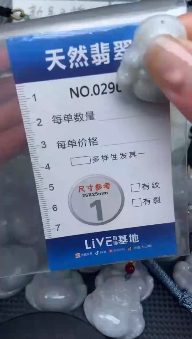 颈饰未镶嵌翡翠纯天然A货翡翠2964