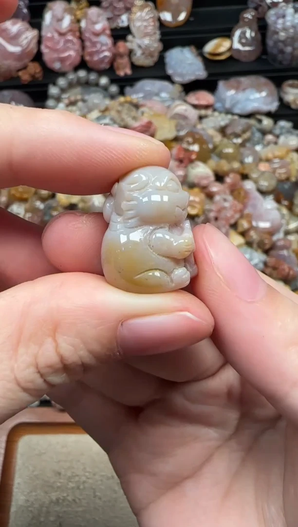 颈饰未镶嵌硅化珊瑚（珊瑚玉）298