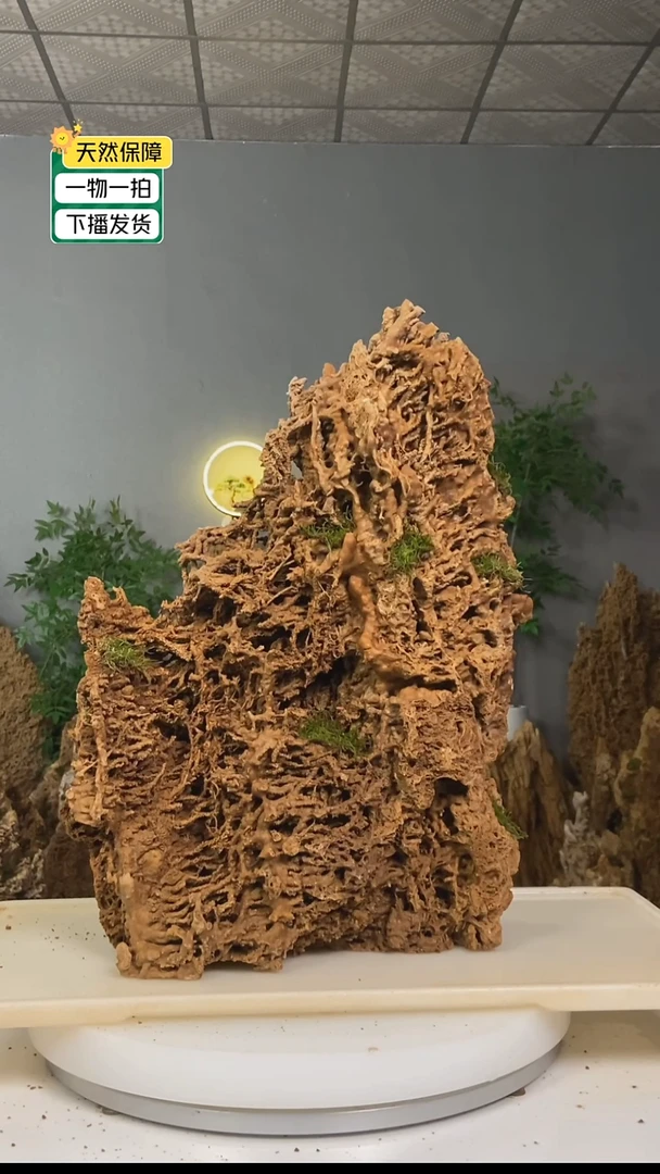 无花朵刘**％天然吸水石上水石盆景000000