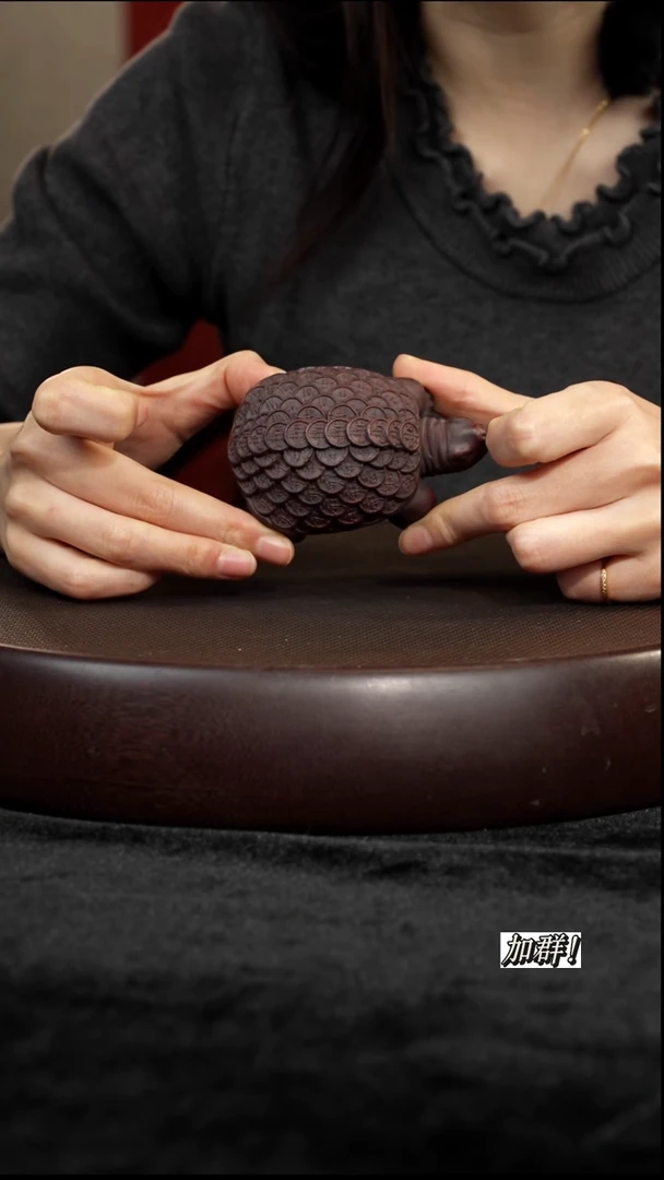 茶壶紫砂紫砂茶宠金钱龟