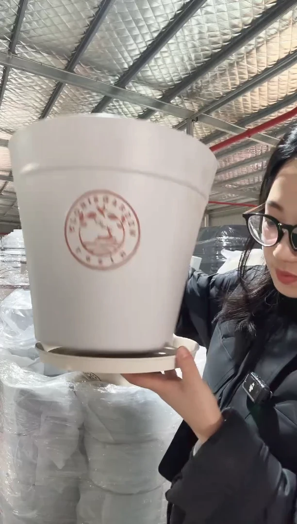 【闪购商品】塑料12寸克里欧斜口盆霜白2只装带托