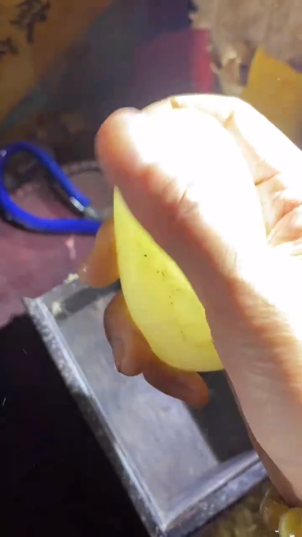 香榧木（1个小复利）
