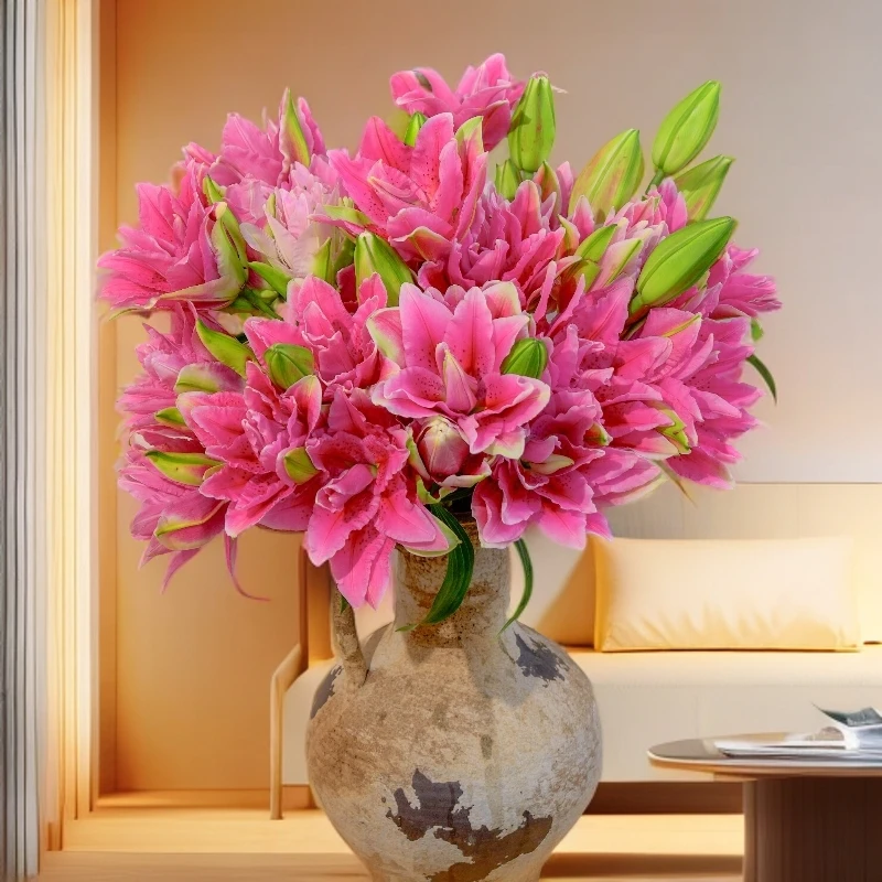 云南木木花卉 西亚拉 香水百合百合花浓香鲜花插花水养