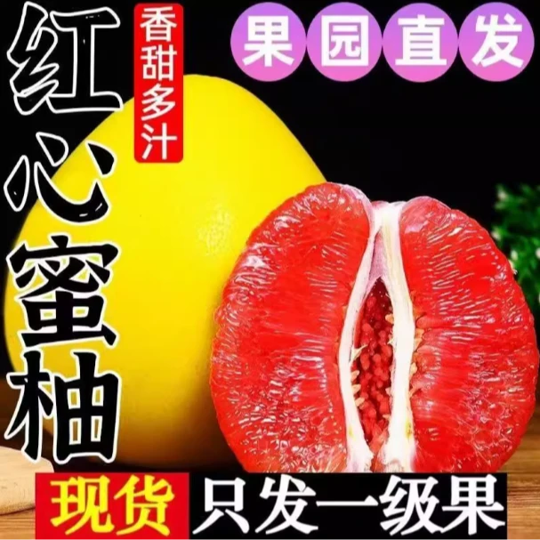 【拖拖】福建红心柚子新鲜水果当季现摘密柚红肉柚子超甜薄皮肉厚