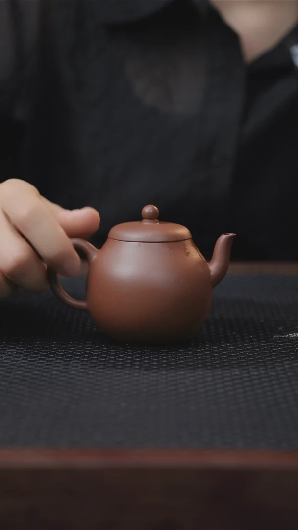 茶壶紫砂九孔柴烧精品茶具6.9-014