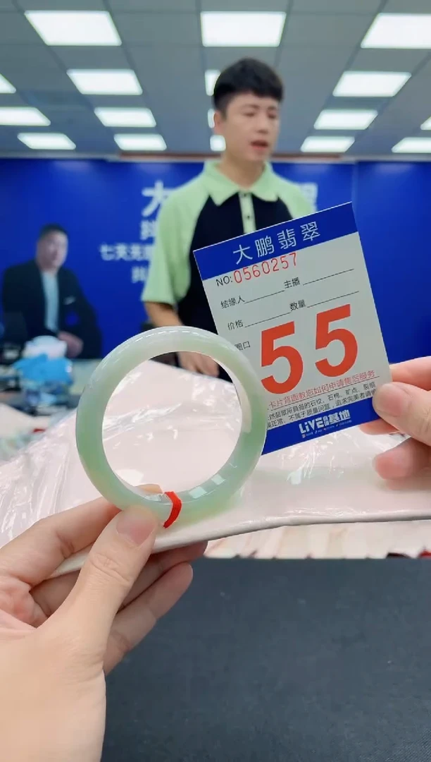 未镶嵌手镯翡翠AAAAAAAAA