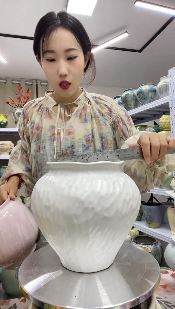 景德镇陶瓷花盆（8.30）