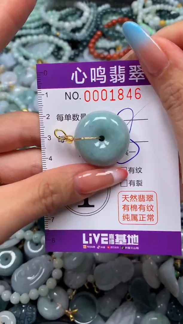 翡翠未镶嵌颈饰闪购001846