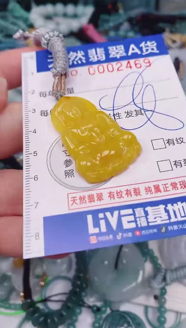 颈饰未镶嵌翡翠00002469