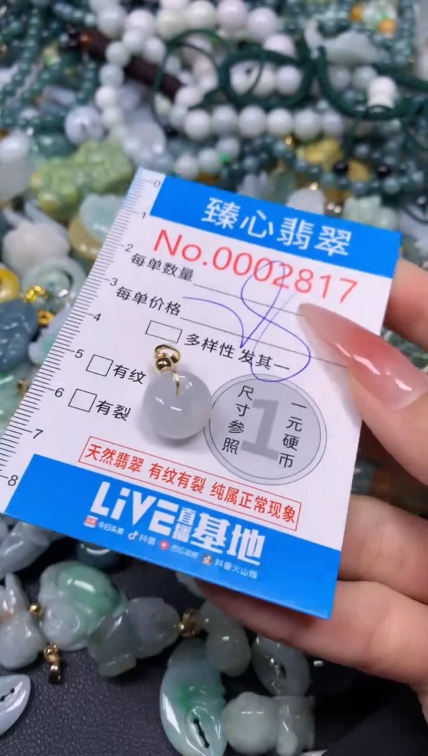 【闪购商品】翡翠颈饰未镶嵌含绳0002817