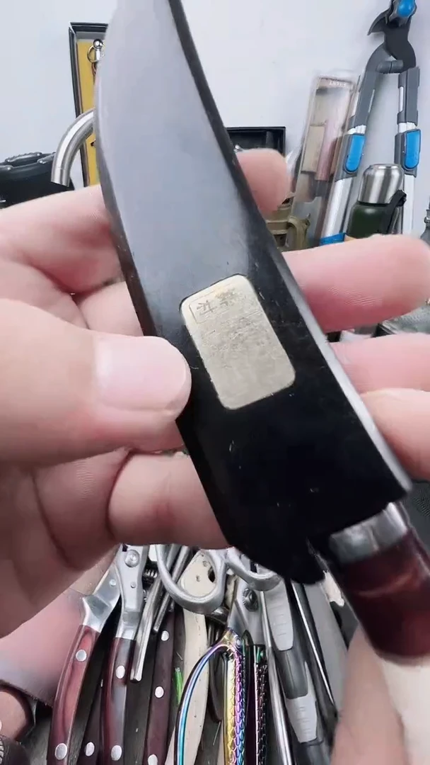 瓷片瓷片东京很热杂货正品保证